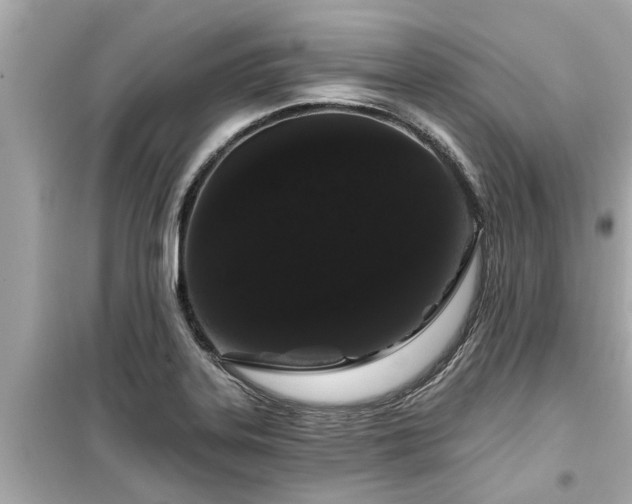 X0000099501323200805221351