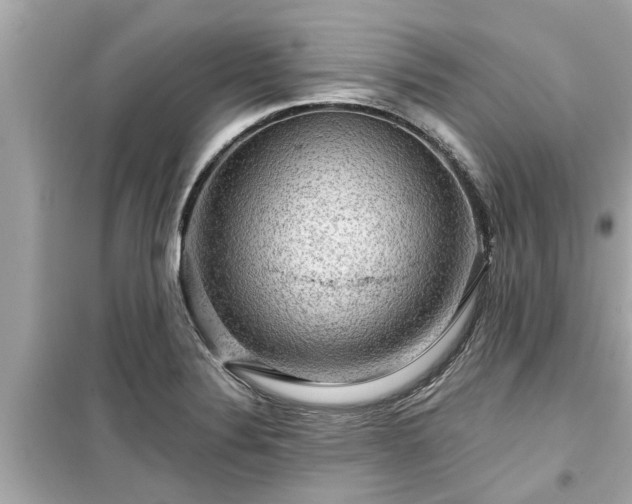X0000099501324200805221351