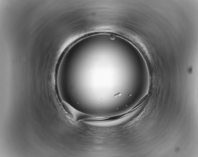 X0000099501328200805221352