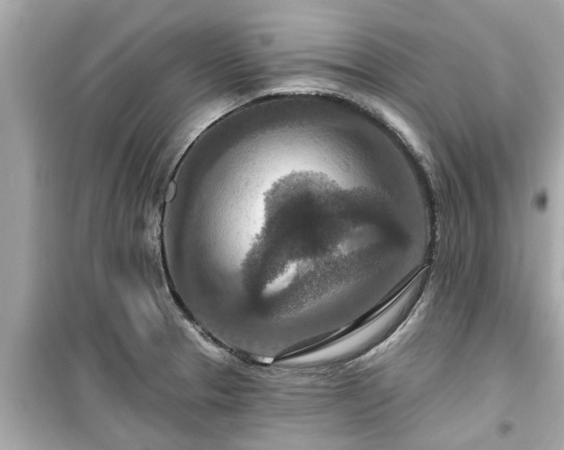 X0000099501329200805221352