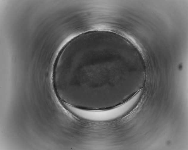 X0000099501331200805221352
