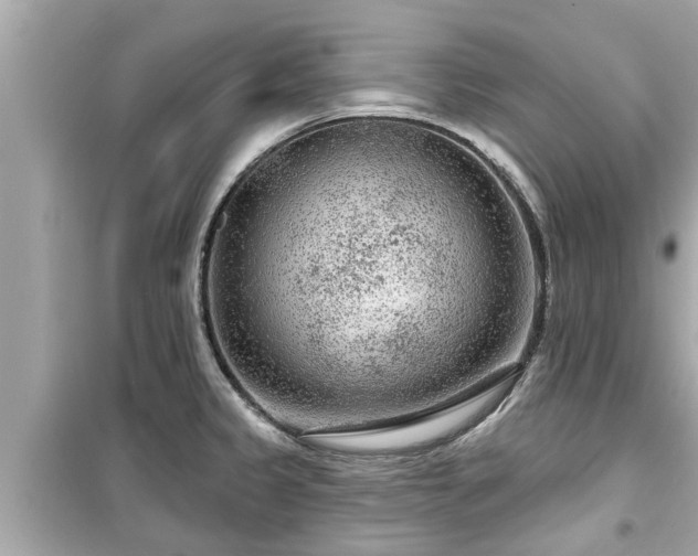 X0000099501333200805221352