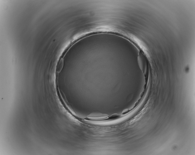 X0000099501334200805221352