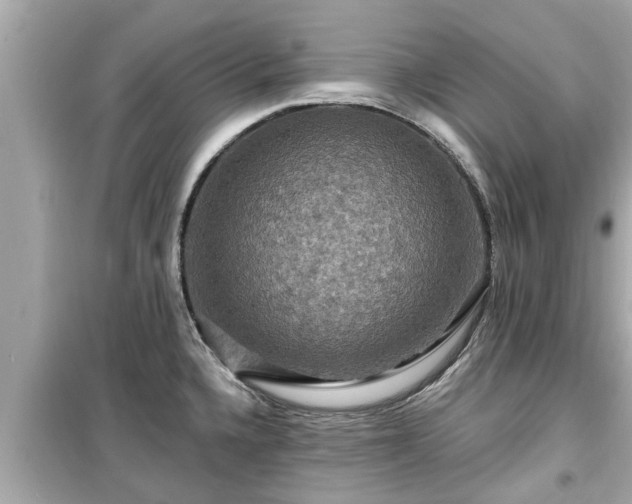 X0000099501336200805221352
