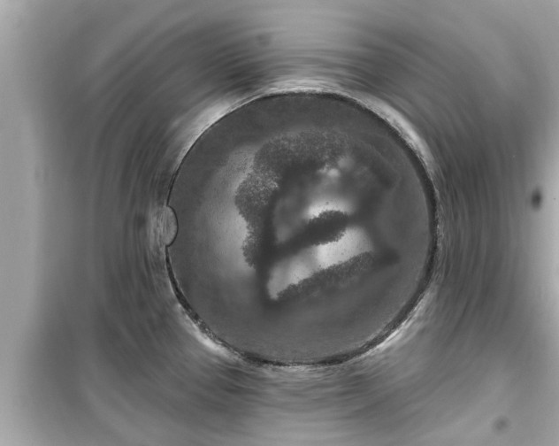 X0000099501337200805221352