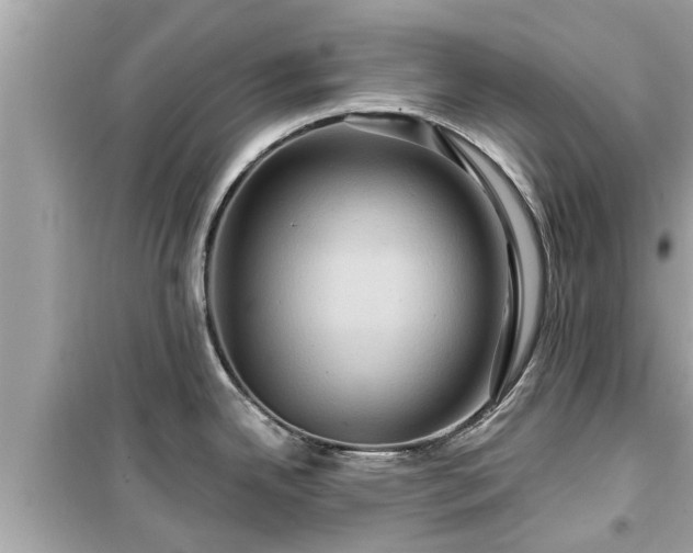 X0000099501342200805221352