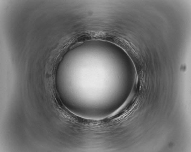 X0000099501345200805221351