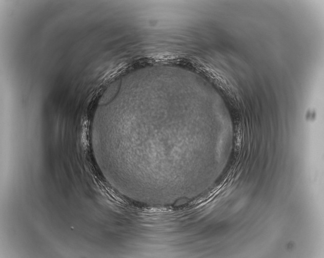X0000099501346200805221351