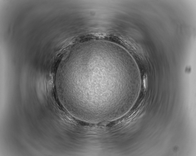 X0000099501347200805221351