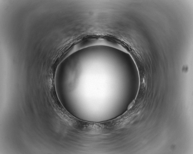 X0000099501348200805221351