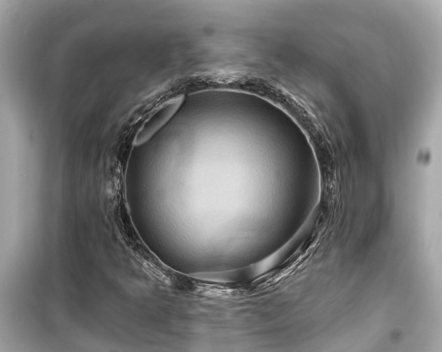 X0000099501349200805221351