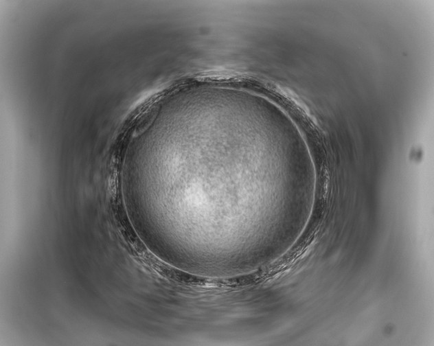 X0000099501350200805221351