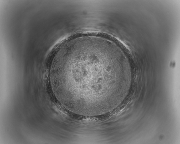 X0000099501351200805221351