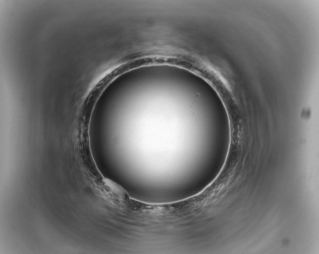 X0000099501352200805221351