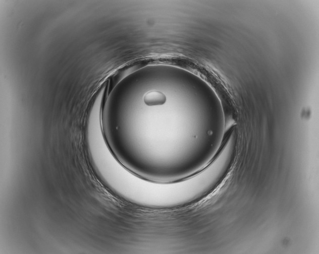 X0000099501353200805221351