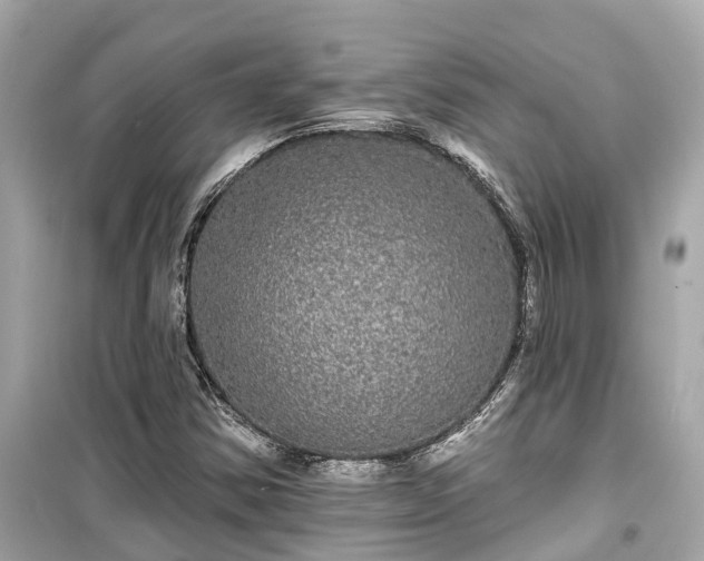X0000099501354200805221351