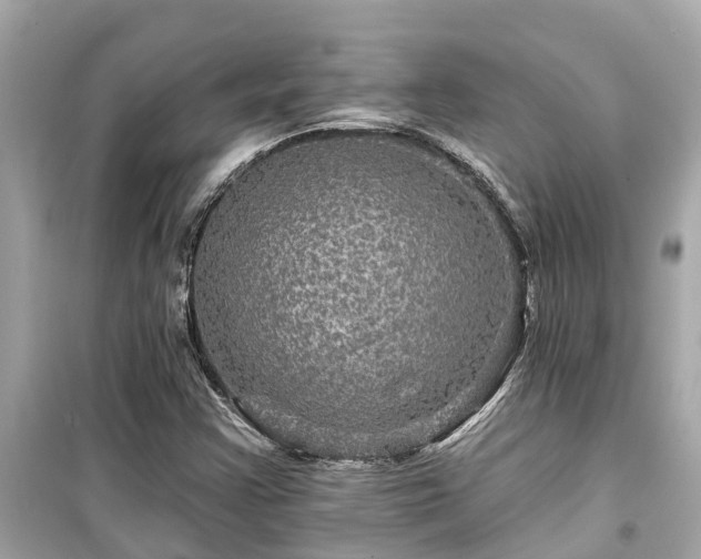 X0000099501355200805221351