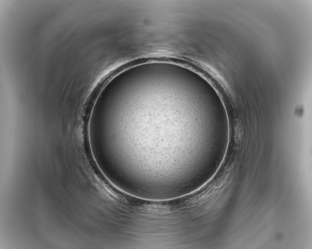 X0000099501356200805221351