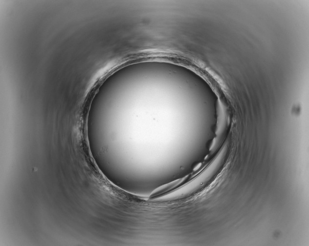 X0000099501357200805221351