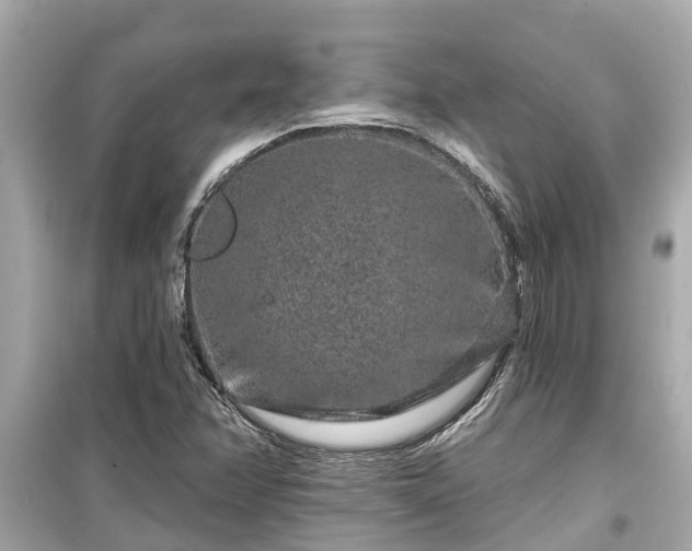X0000099501358200805221351