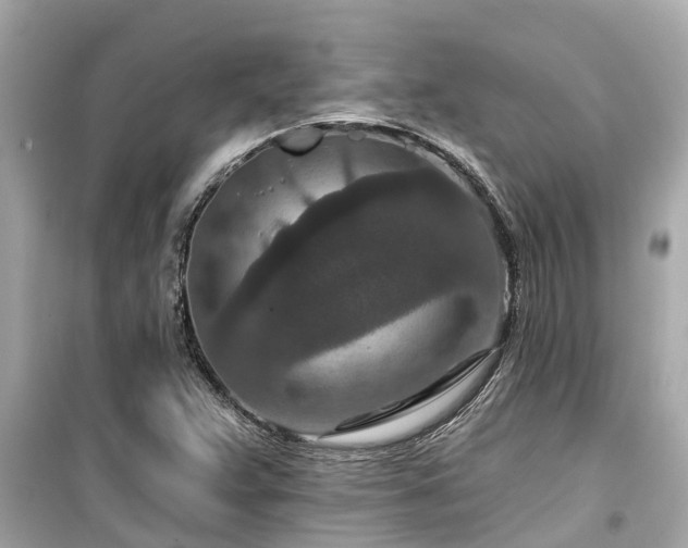 X0000099501359200805221351