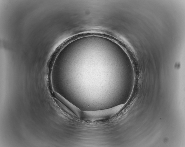 X0000099501360200805221351