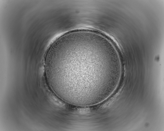 X0000099501363200805221351