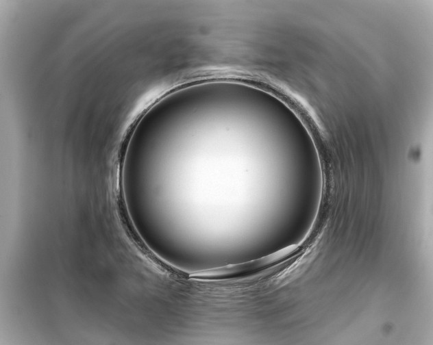 X0000099501365200805221351