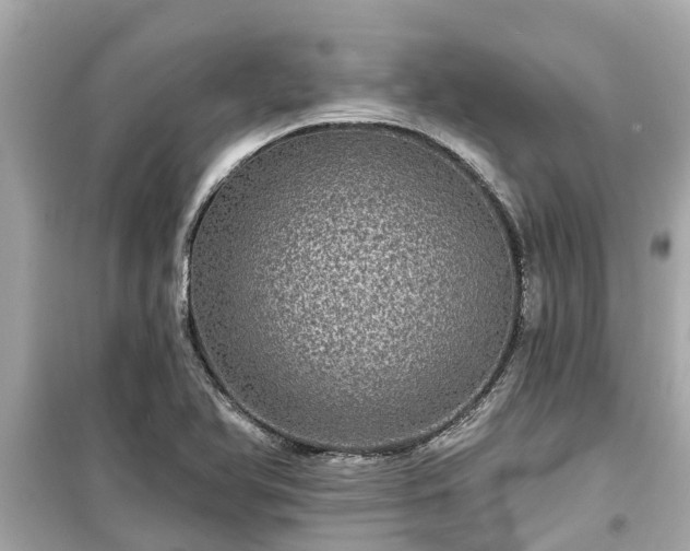 X0000099501366200805221351