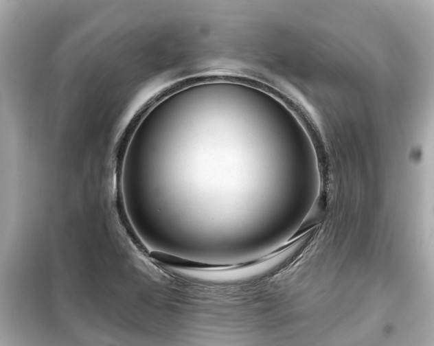 X0000099501368200805221351