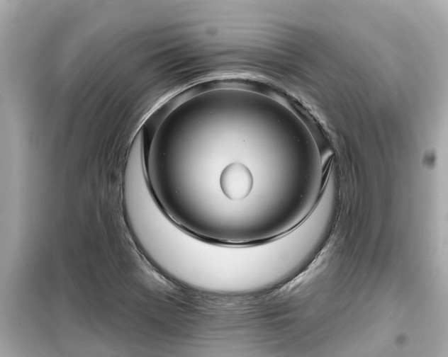 X0000099501369200805221351
