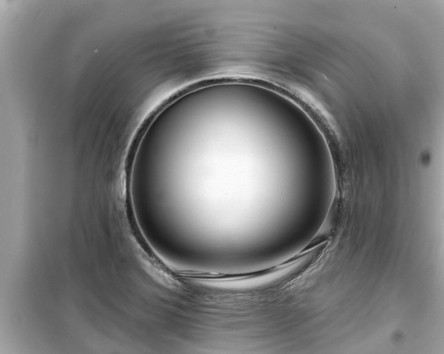 X0000099501372200805221351