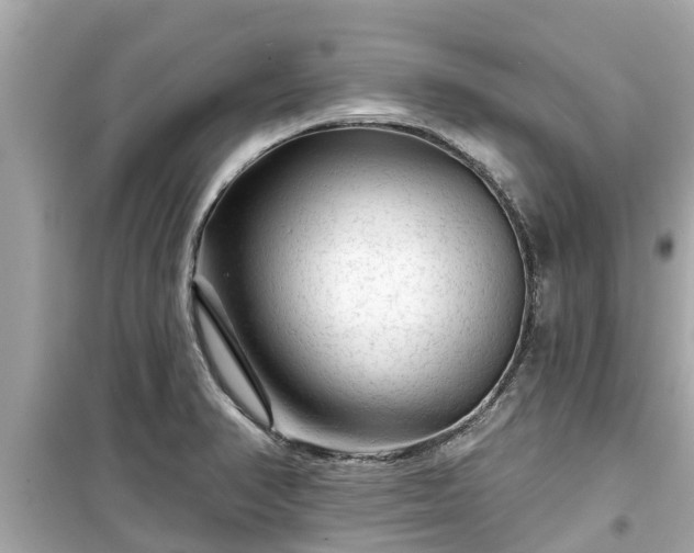 X0000099501374200805221351