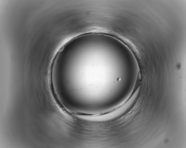 X0000099501375200805221351