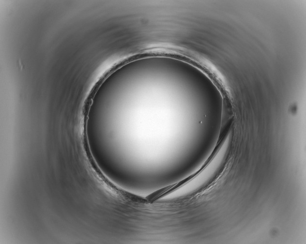X0000099501376200805221351