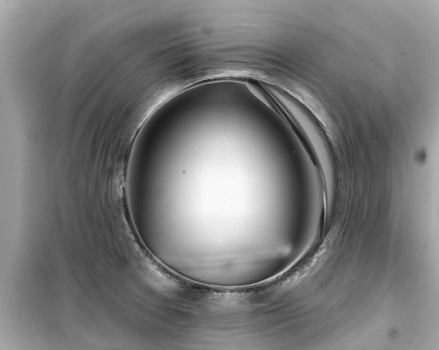 X0000099501377200805221351