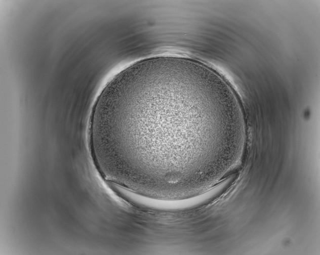 X0000099501379200805221351