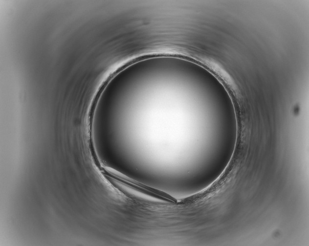 X0000099501380200805221351