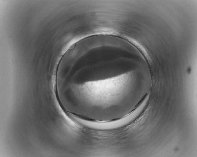 X0000099501383200805221350