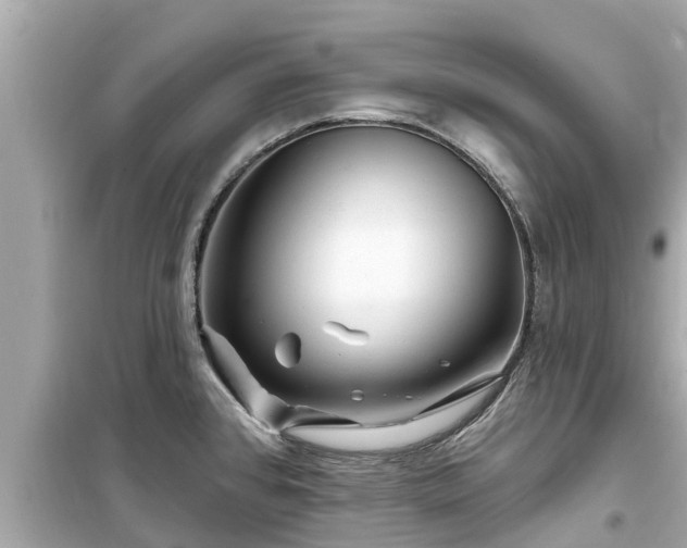 X0000099501384200805221350