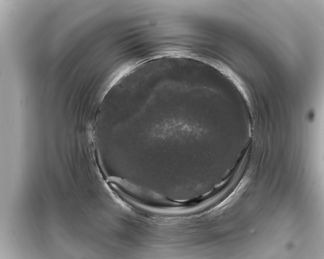 X0000099501385200805221350