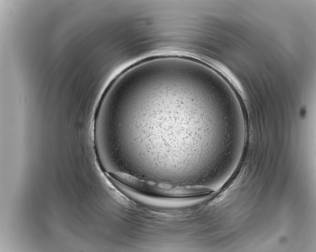 X0000099501388200805221350