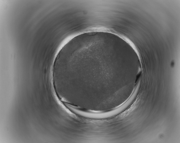 X0000099501389200805221350