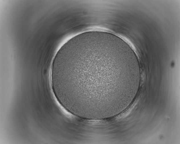 X0000099501391200805221350