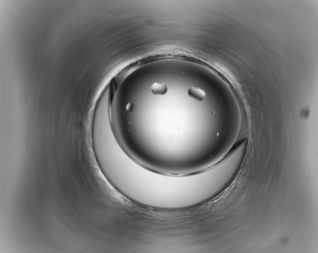 X0000099501392200805221350