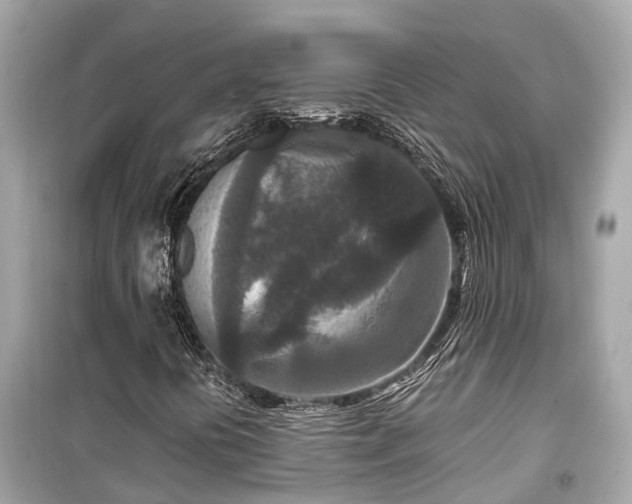 X0000099501394200805221350
