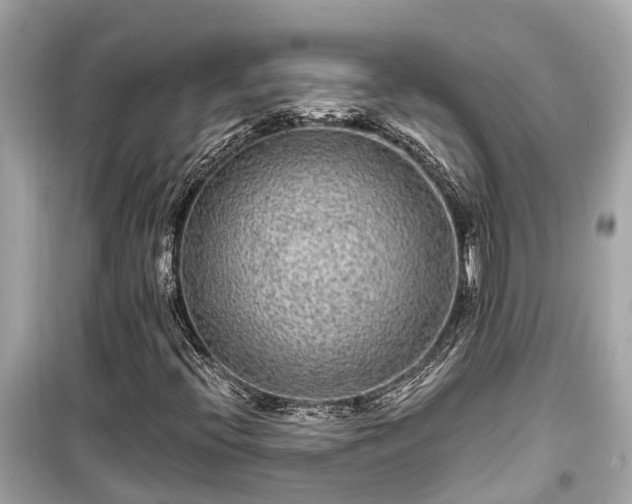 X0000099501396200805221350