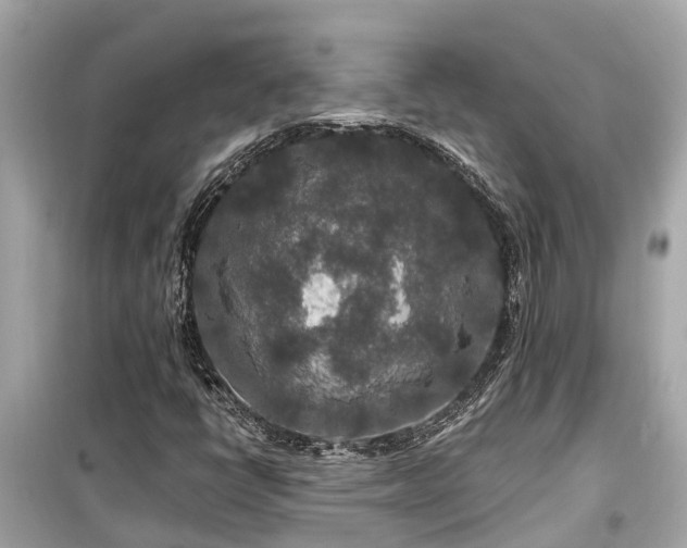 X0000099501398200805221350