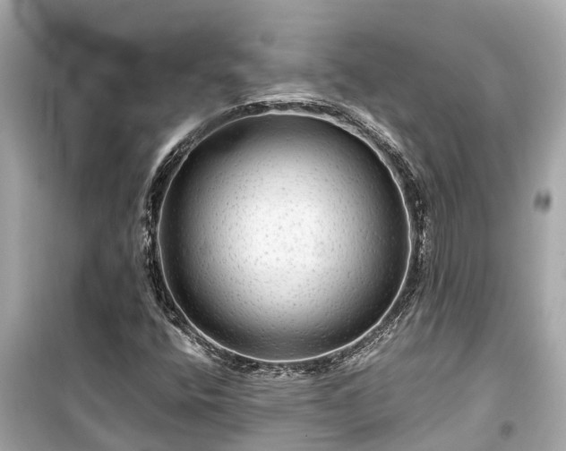 X0000099501400200805221350