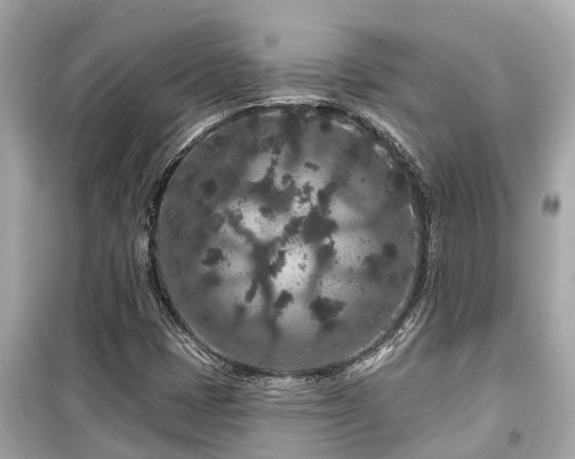X0000099501401200805221350